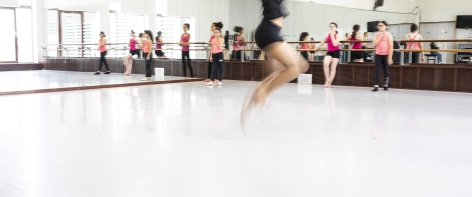 DANSE