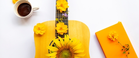 guitare et fleur de tournesol