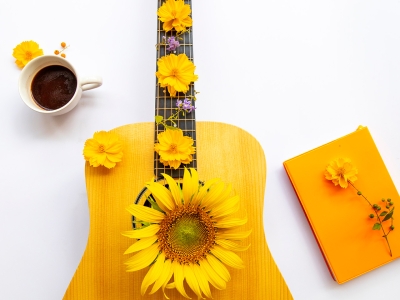 guitare et fleur de tournesol