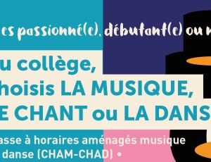 Visuel CHAM collège