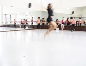 DANSE
