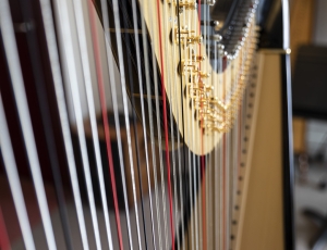 harpe