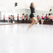 DANSE