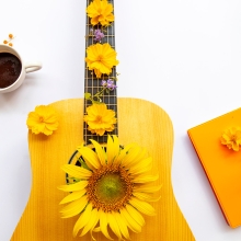 guitare et fleur de tournesol